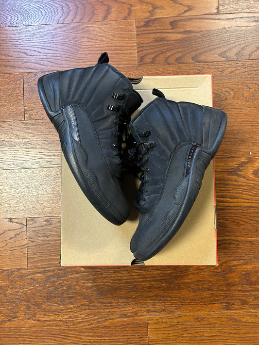 Winterized Black 12 SZ 11.5