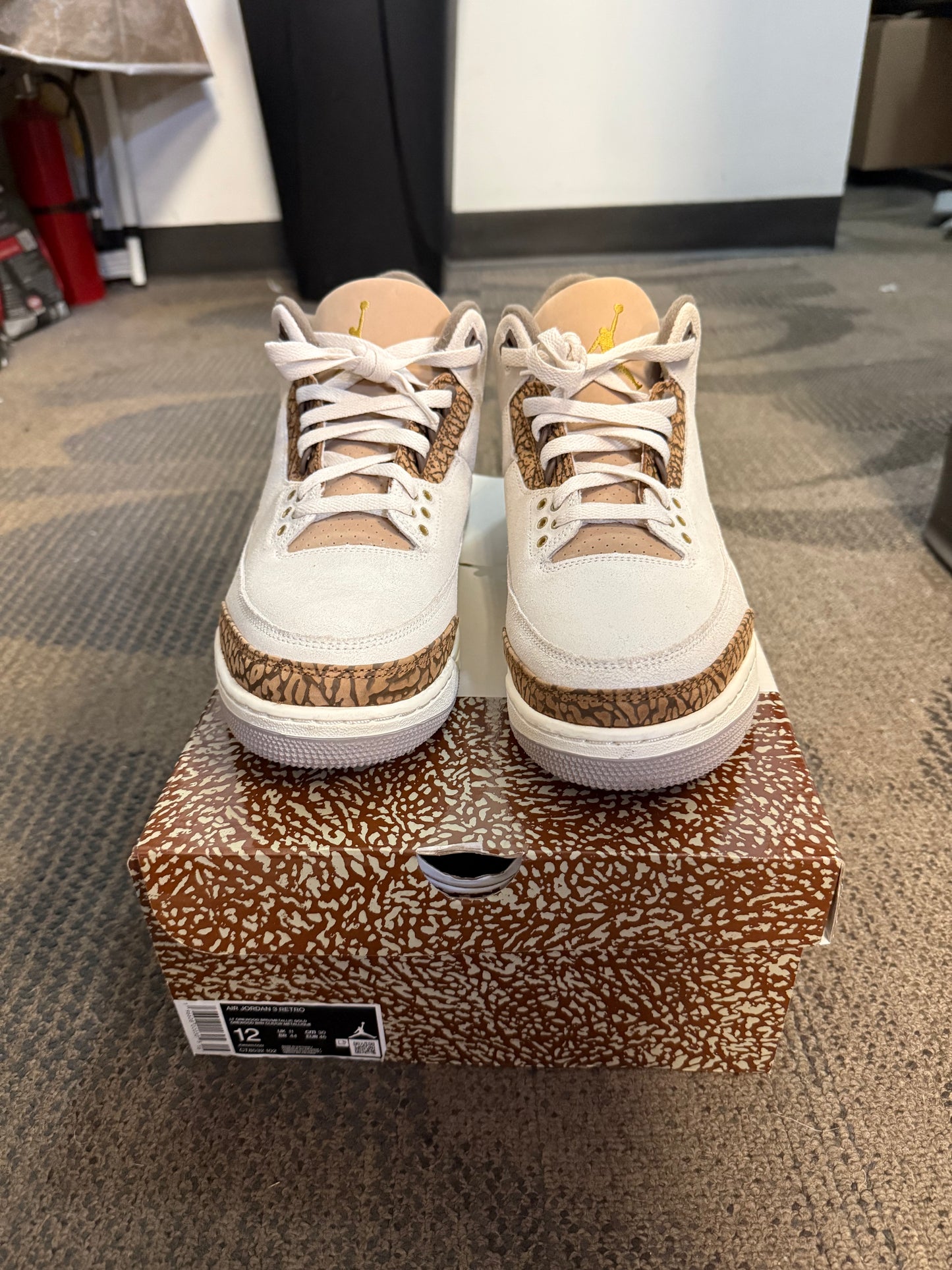 Jordan 3 Retro Palomino SZ 12