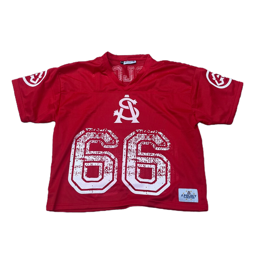 Apology Mesh Jersey